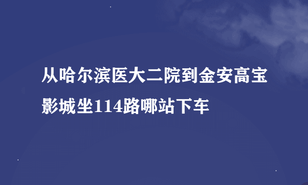 从哈尔滨医大二院到金安高宝影城坐114路哪站下车