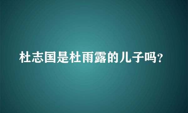 杜志国是杜雨露的儿子吗？