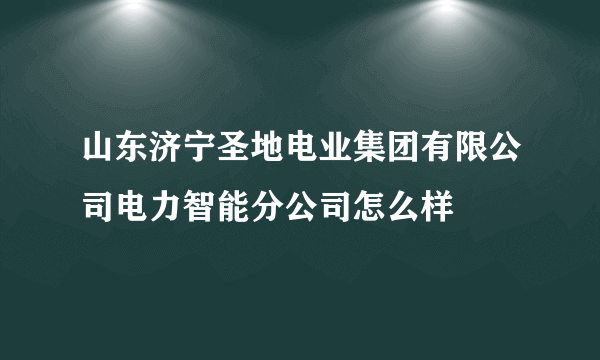 山东济宁圣地电业集团有限公司电力智能分公司怎么样