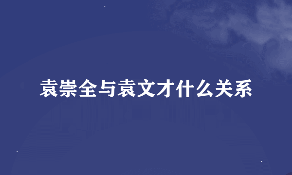 袁崇全与袁文才什么关系