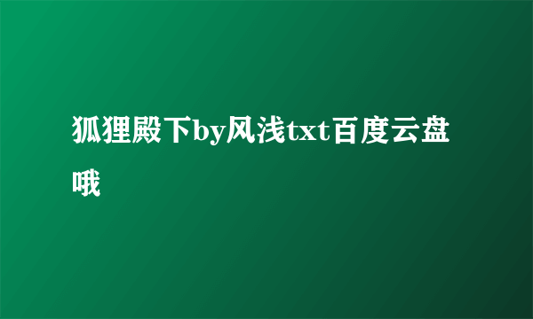 狐狸殿下by风浅txt百度云盘哦