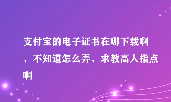 支付宝的电子证书在哪下载啊，不知道怎么弄，求教高人指点啊