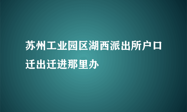 苏州工业园区湖西派出所户口迁出迁进那里办