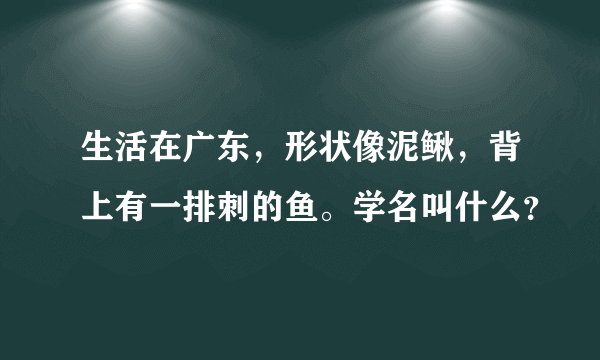 生活在广东，形状像泥鳅，背上有一排刺的鱼。学名叫什么？