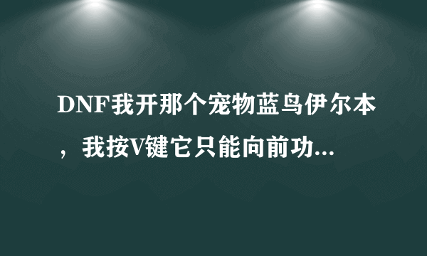 DNF我开那个宠物蓝鸟伊尔本，我按V键它只能向前功击下，我看别人也是这鸟，却能下红色的雨不知道怎么弄？