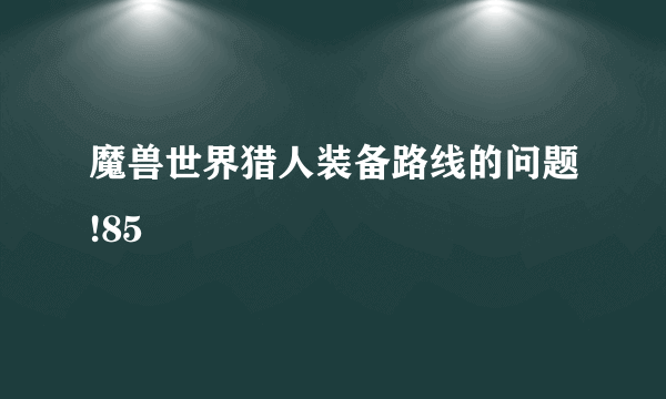 魔兽世界猎人装备路线的问题!85