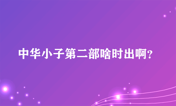 中华小子第二部啥时出啊？