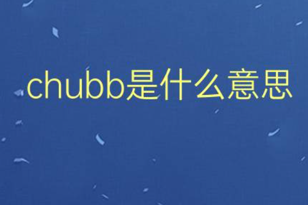 chubb是什么意思