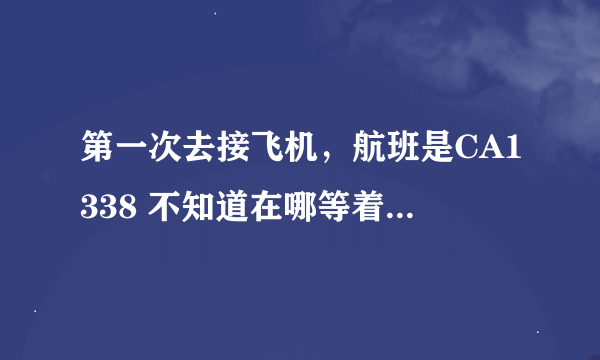 第一次去接飞机，航班是CA1338 不知道在哪等着 在哪接飞机 请大家帮忙指点一下 谢谢