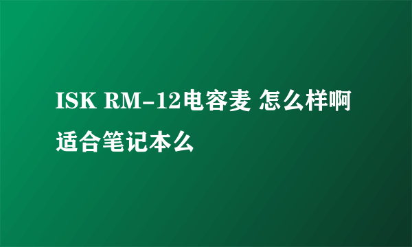 ISK RM-12电容麦 怎么样啊 适合笔记本么