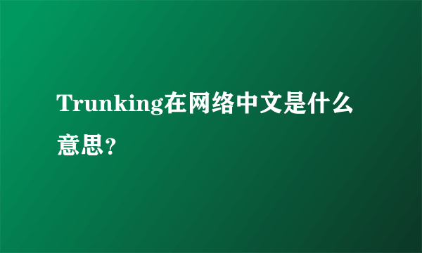 Trunking在网络中文是什么意思？