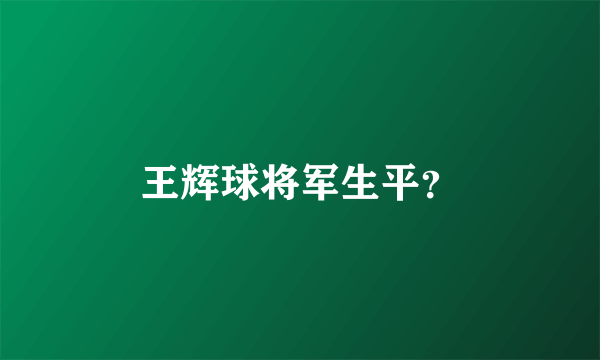 王辉球将军生平？