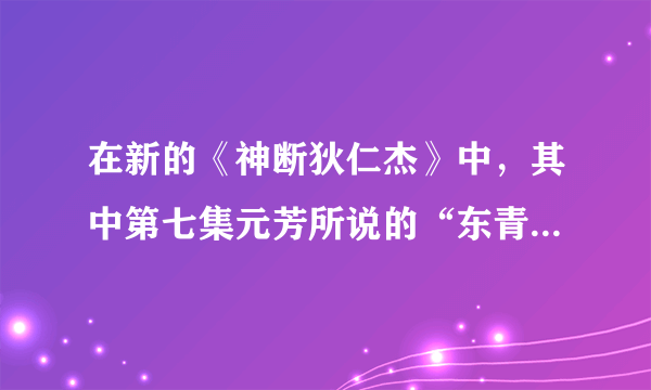 在新的《神断狄仁杰》中，其中第七集元芳所说的“东青之所”是什么意思？