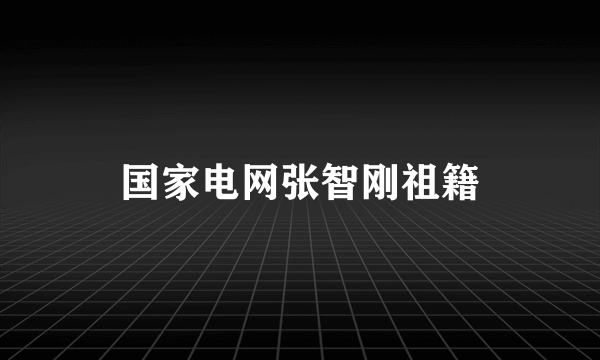 国家电网张智刚祖籍