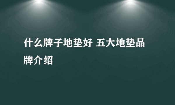 什么牌子地垫好 五大地垫品牌介绍