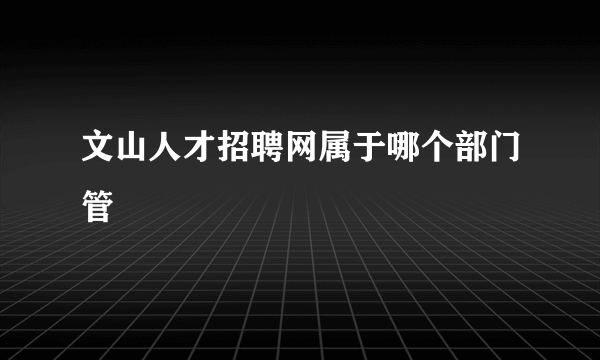 文山人才招聘网属于哪个部门管