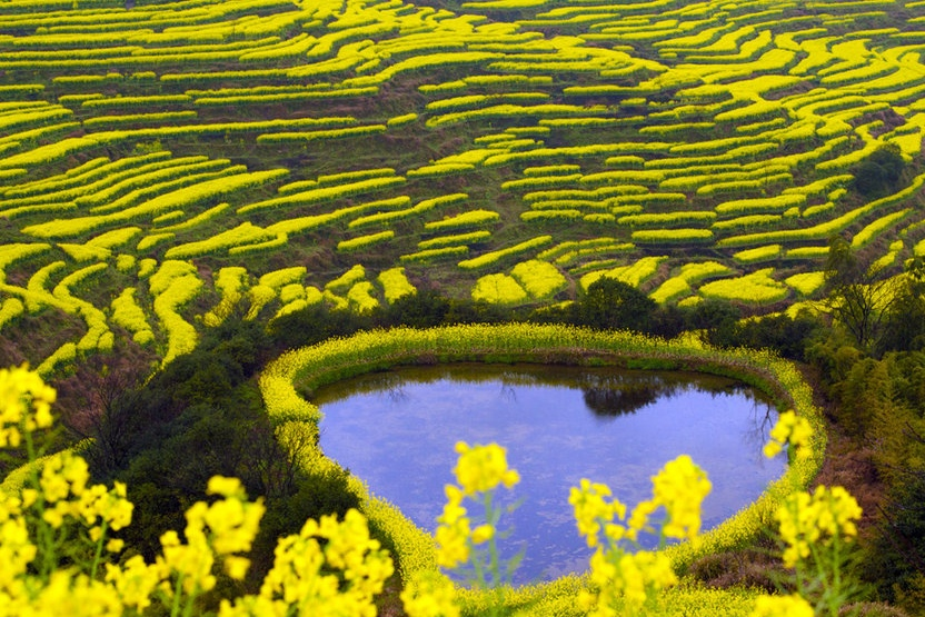 婺源油菜花季节是几月份