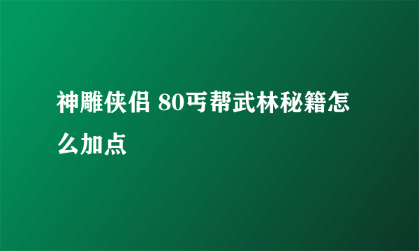 神雕侠侣 80丐帮武林秘籍怎么加点