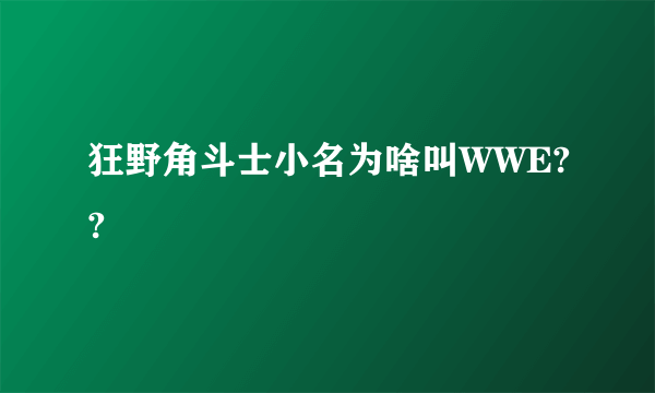 狂野角斗士小名为啥叫WWE??