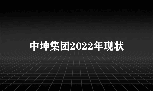 中坤集团2022年现状