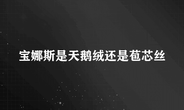 宝娜斯是天鹅绒还是苞芯丝