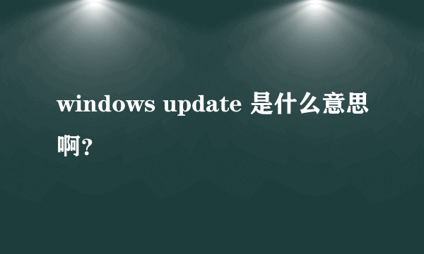 windows update 是什么意思啊？