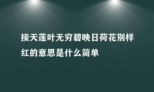 接天莲叶无穷碧映日荷花别样红的意思是什么简单