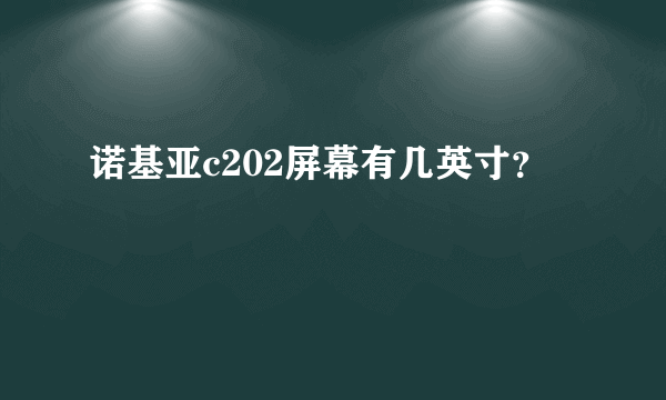 诺基亚c202屏幕有几英寸？