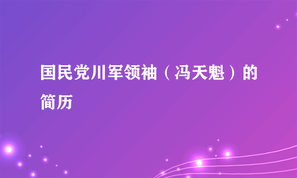 国民党川军领袖（冯天魁）的简历