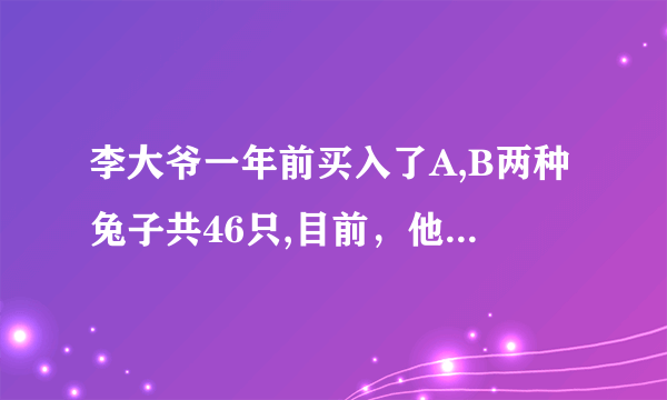 李大爷一年前买入了A,B两种兔子共46只,目前，他所养的这两种兔子数量相同，且A种兔子的数量比买入时少3只