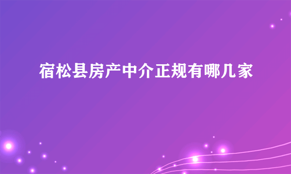 宿松县房产中介正规有哪几家