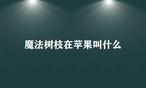 魔法树枝在苹果叫什么