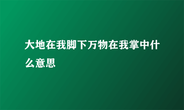 大地在我脚下万物在我掌中什么意思