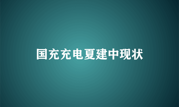 国充充电夏建中现状