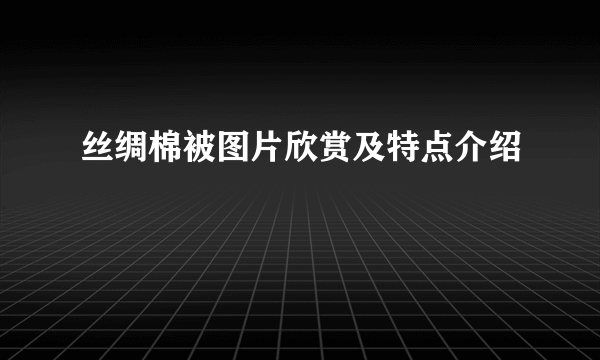 丝绸棉被图片欣赏及特点介绍