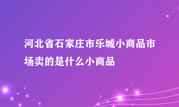 河北省石家庄市乐城小商品市场卖的是什么小商品