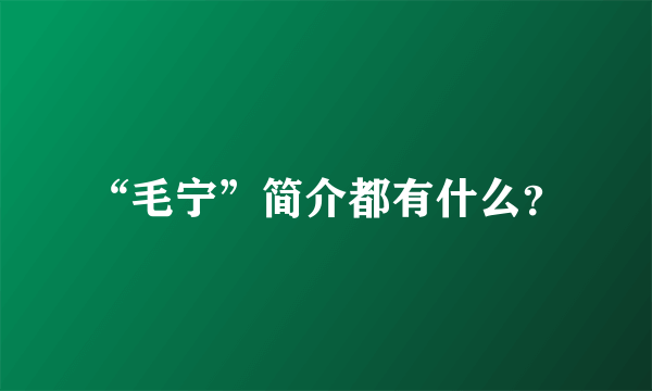 “毛宁”简介都有什么？