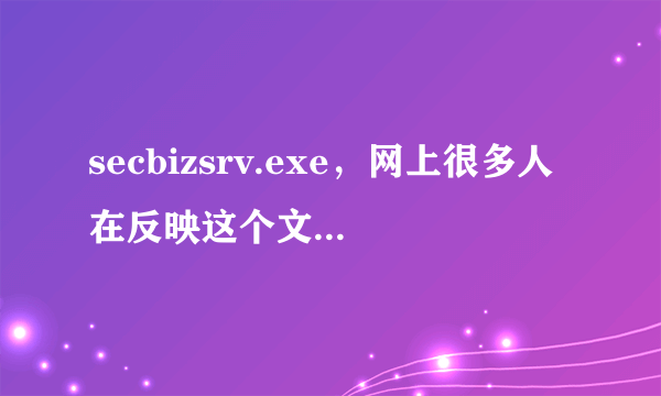 secbizsrv.exe，网上很多人在反映这个文件有问题