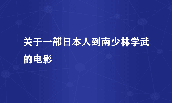 关于一部日本人到南少林学武的电影