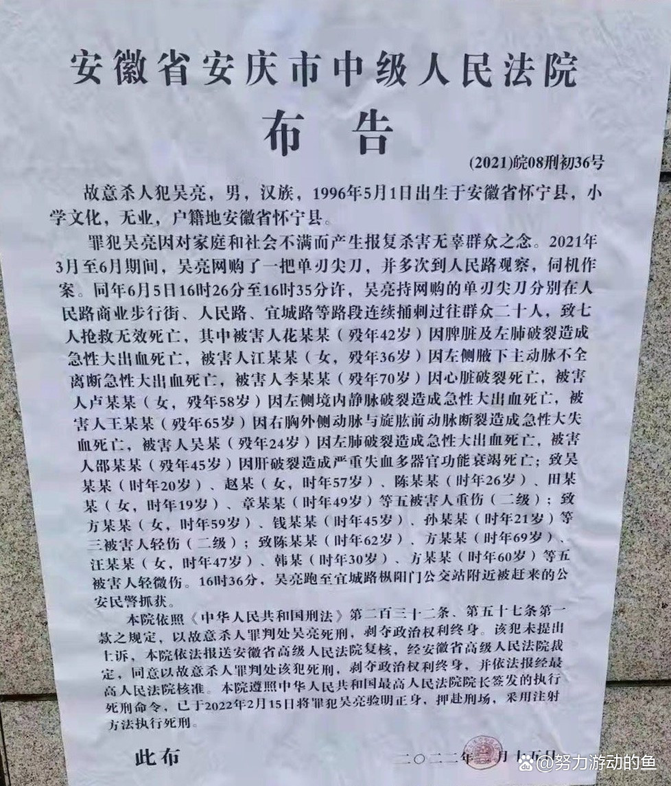 安徽男子持刀捅刺路人致7死13伤，已被执行死刑，此男子当初为何这么做？