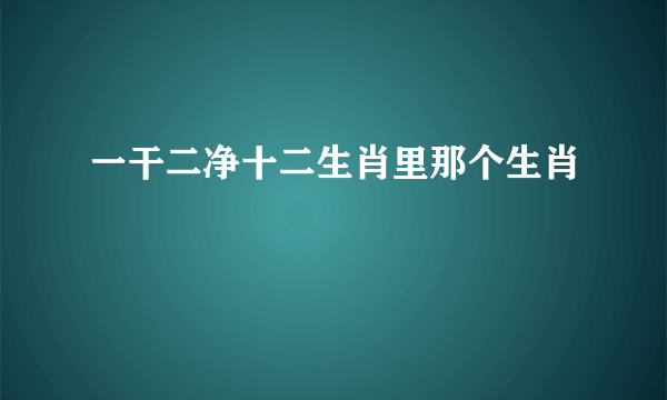 一干二净十二生肖里那个生肖