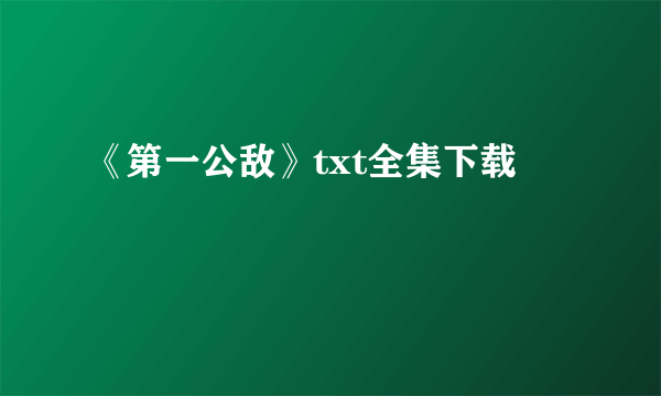 《第一公敌》txt全集下载