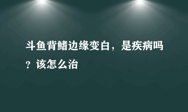 斗鱼背鳍边缘变白，是疾病吗？该怎么治