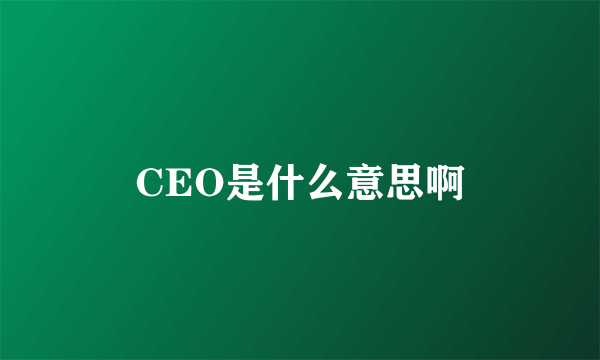 CEO是什么意思啊