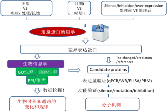 蛋白质组学三大基本技术