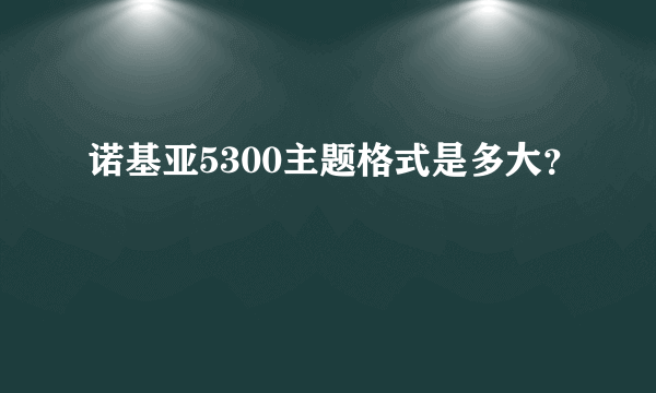 诺基亚5300主题格式是多大？