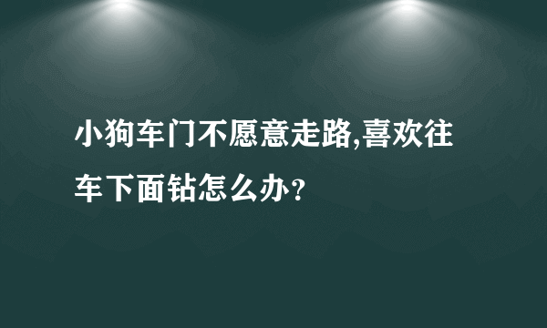 小狗车门不愿意走路,喜欢往车下面钻怎么办？