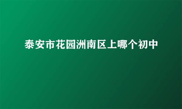 泰安市花园洲南区上哪个初中