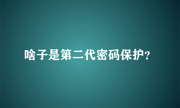 啥子是第二代密码保护？