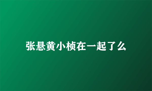 张悬黄小桢在一起了么